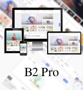 B2 Pro WordPress主题 v5.2 (绕过授权)+ v5.4.2 直装版-〈Destiny宿命〉
