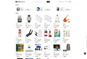 全开源TikTok跨境商城源码/TikTok内嵌商城源码 前端uniapp+后端-〈Destiny宿命〉