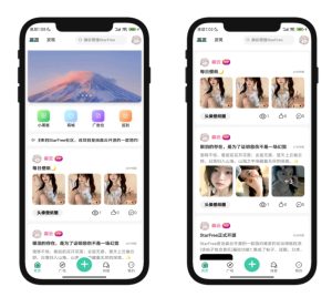 最新2025唯美社区 StarFree源码 唯美主题开源程序源码-〈Destiny宿命〉