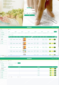 基于springboot的医药管理系统源码 +论文+开题报告-〈Destiny宿命〉