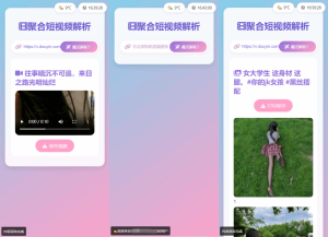 全新二次元聚合短视频解析去水印系统源码 支持自适应双端-〈Destiny宿命〉