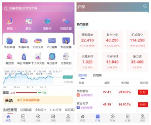 前端vue 后端Java股票交易源码/大宗交易源码/与新股申购系统源码/带视频搭建教程-〈Destiny宿命〉