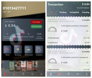 新版本海外tiktok多语言抢单系统源码/带文本搭建教程-〈Destiny宿命〉