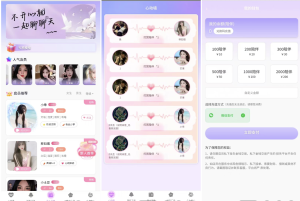 微信陪聊系统源码+ 搭建教程+源码以及变现思路-〈Destiny宿命〉
