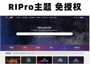 Wordpress模板日主题资源下载主题源码模板 RiPro v8.5 开心版-〈Destiny宿命〉