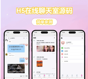 [网站源码] H5聊天室源码 在线聊天聊天室源码 陌陌 爱聊 源码开源不加密-〈Destiny宿命〉